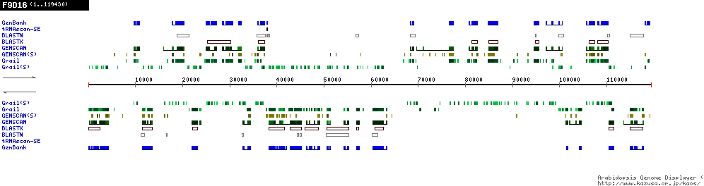 [Image of F9D16]