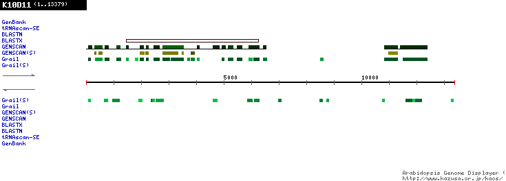 [Image of K10D11]