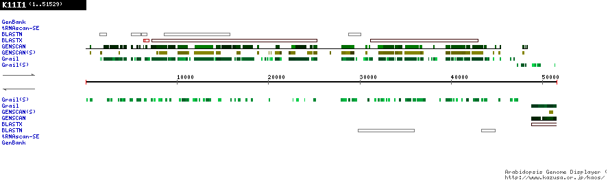 [Image of K11I1]