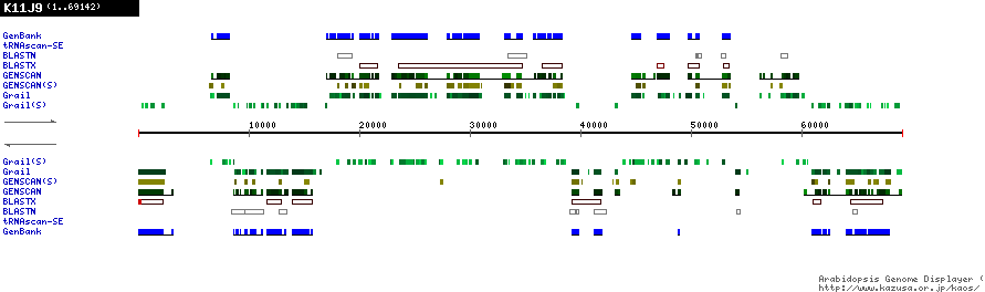 [Image of K11J9]