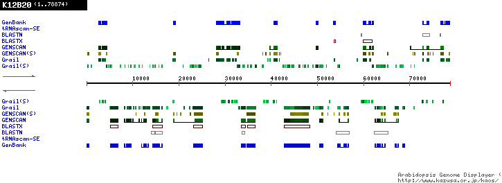 [Image of K12B20]