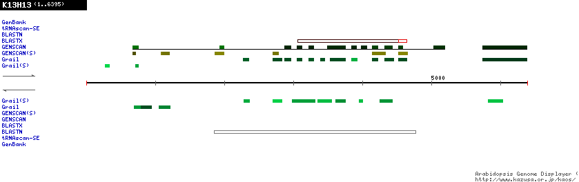 [Image of K13H13]