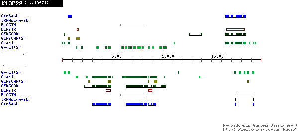 [Image of K13P22]