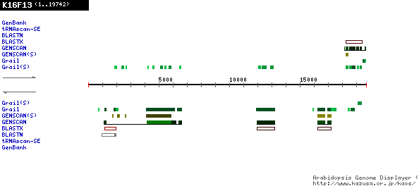 [Image of K16F13]