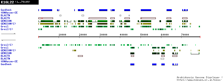 [Image of K16L22]