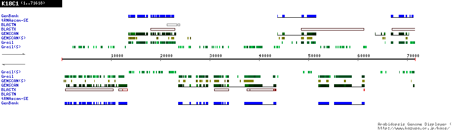 [Image of K18C1]