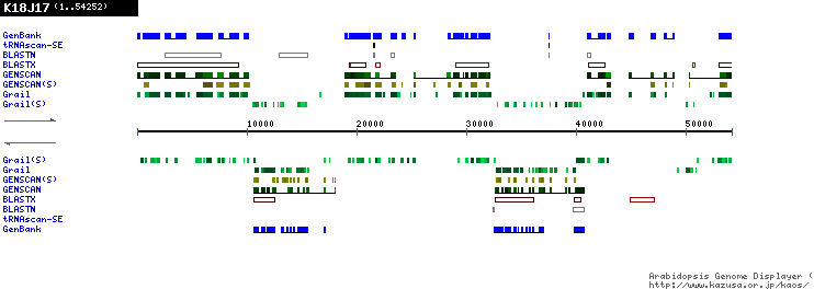 [Image of K18J17]