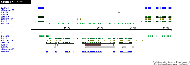 [Image of K19M13]