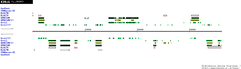 [Image of K20J1]