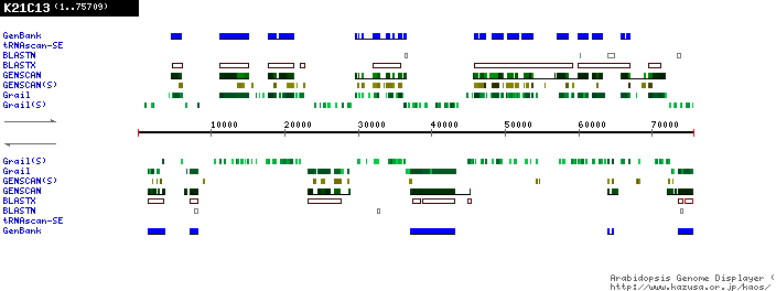 [Image of K21C13]