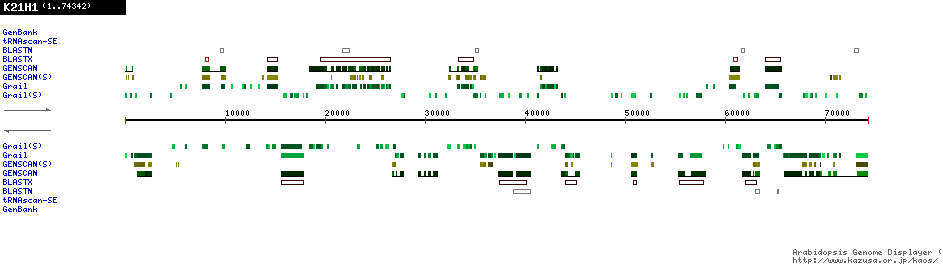 [Image of K21H1]