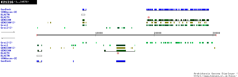 [Image of K21I16]