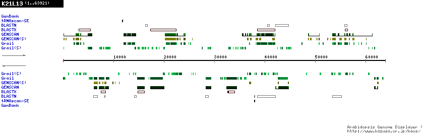 [Image of K21L13]