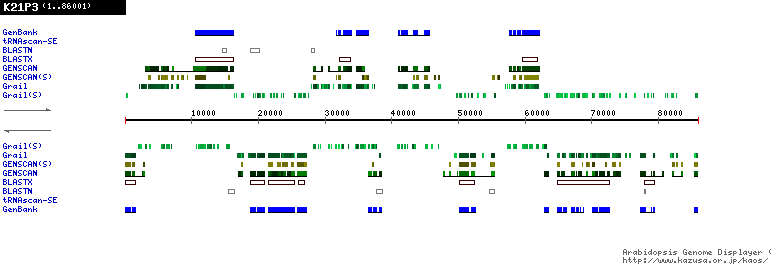 [Image of K21P3]