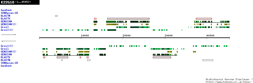 [Image of K22G18]