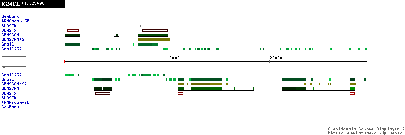 [Image of K24C1]