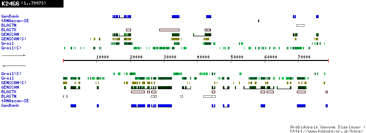 [Image of K24G6]