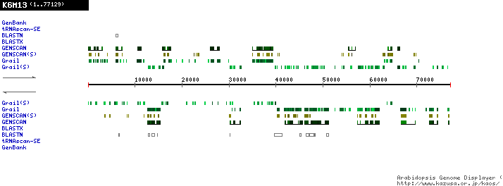 [Image of K6M13]