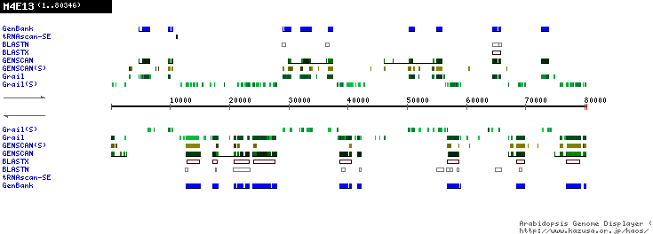 [Image of M4E13]