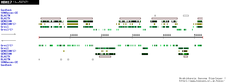 [Image of MBM17]