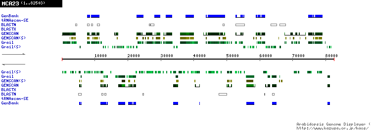 [Image of MCA23]