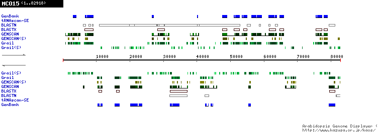 [Image of MCO15]