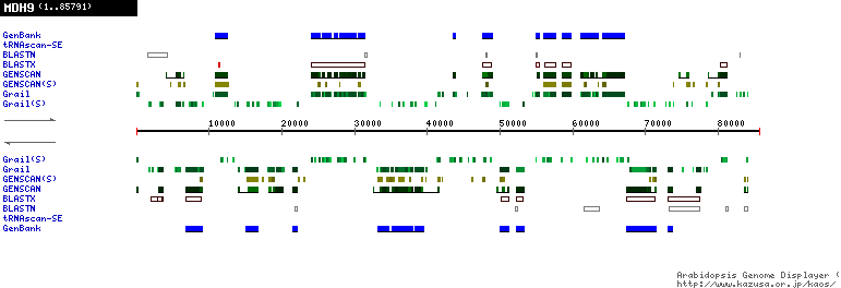 [Image of MDH9]