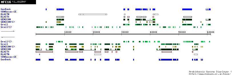 [Image of MFC16]