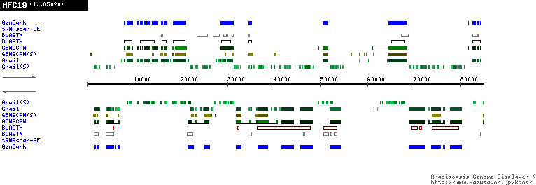 [Image of MFC19]