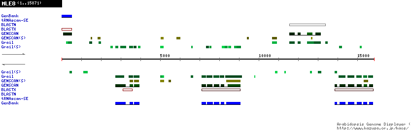 [Image of MLE8]