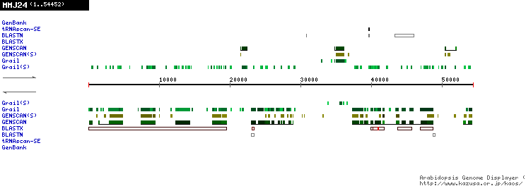 [Image of MMJ24]