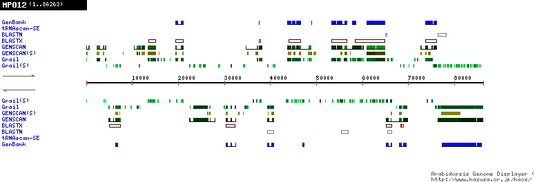 [Image of MPO12]