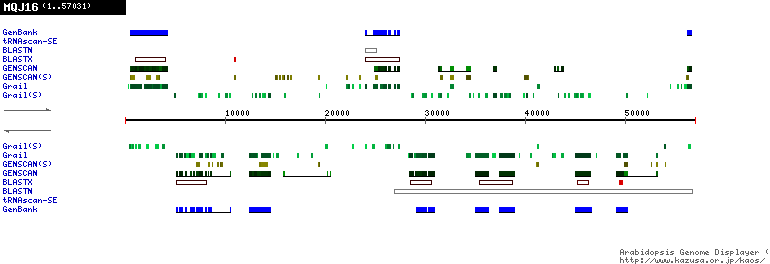 [Image of MQJ16]