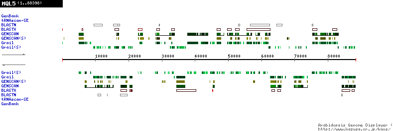 [Image of MQL5]