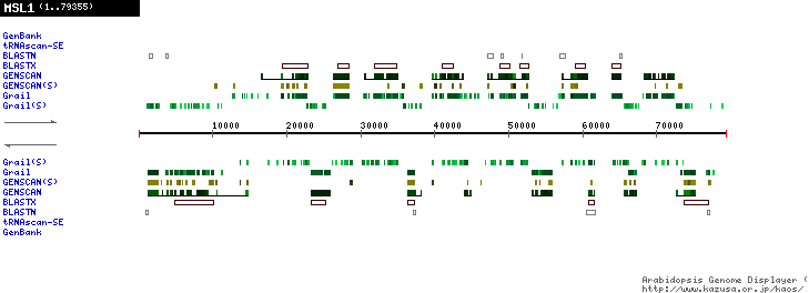 [Image of MSL1]