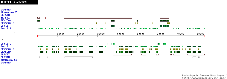 [Image of MTC11]