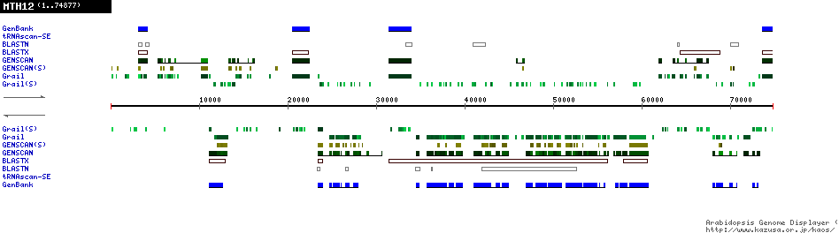 [Image of MTH12]