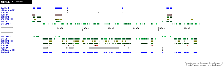 [Image of MTH16]