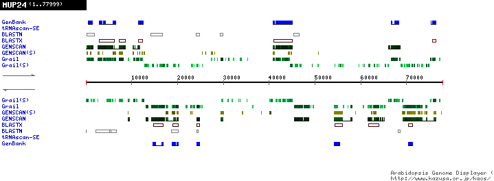 [Image of MUP24]