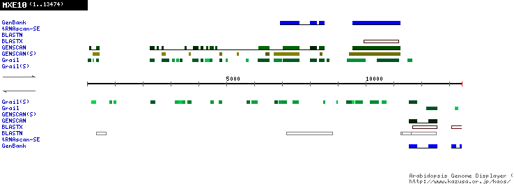 [Image of MXE10]