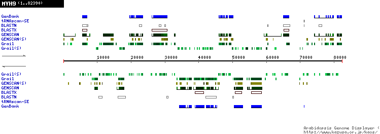 [Image of MYH9]