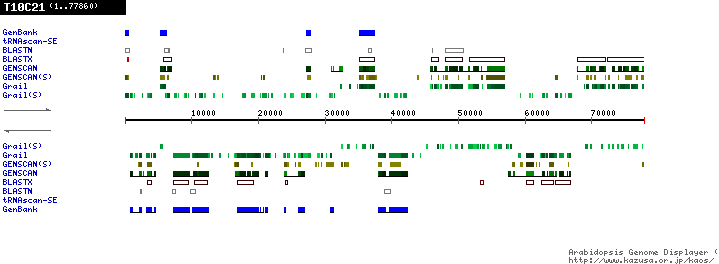 [Image of T10C21]