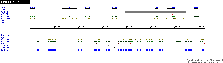 [Image of T10I14]