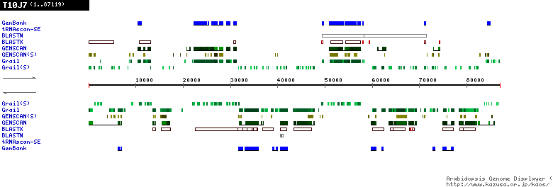 [Image of T10J7]