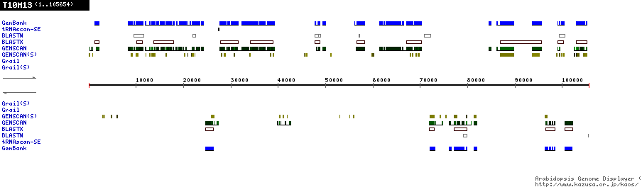 [Image of T10M13]