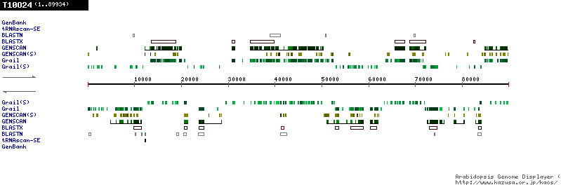 [Image of T10O24]