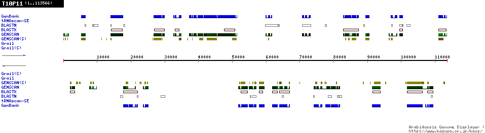 [Image of T10P11]