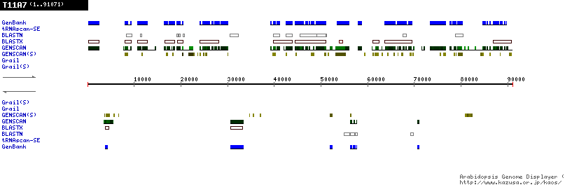 [Image of T11A7]