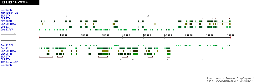 [Image of T11H3]