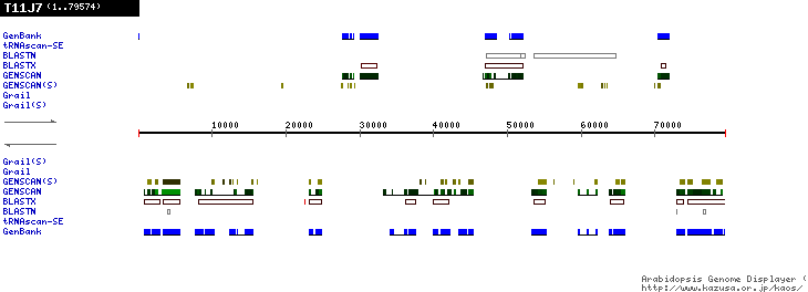 [Image of T11J7]